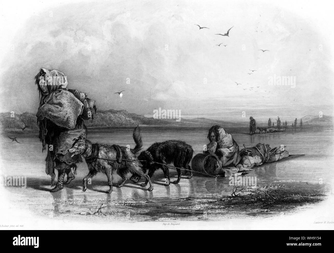 Der Mandan Indianer Hunde ihr Schlitten über den zugefrorenen Flüssen zu ziehen.. Stockfoto