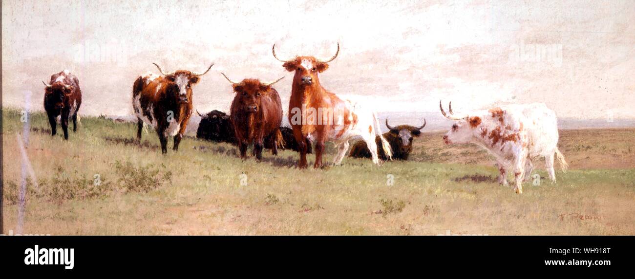 Die Herde von Frank Reaugh. Stockfoto