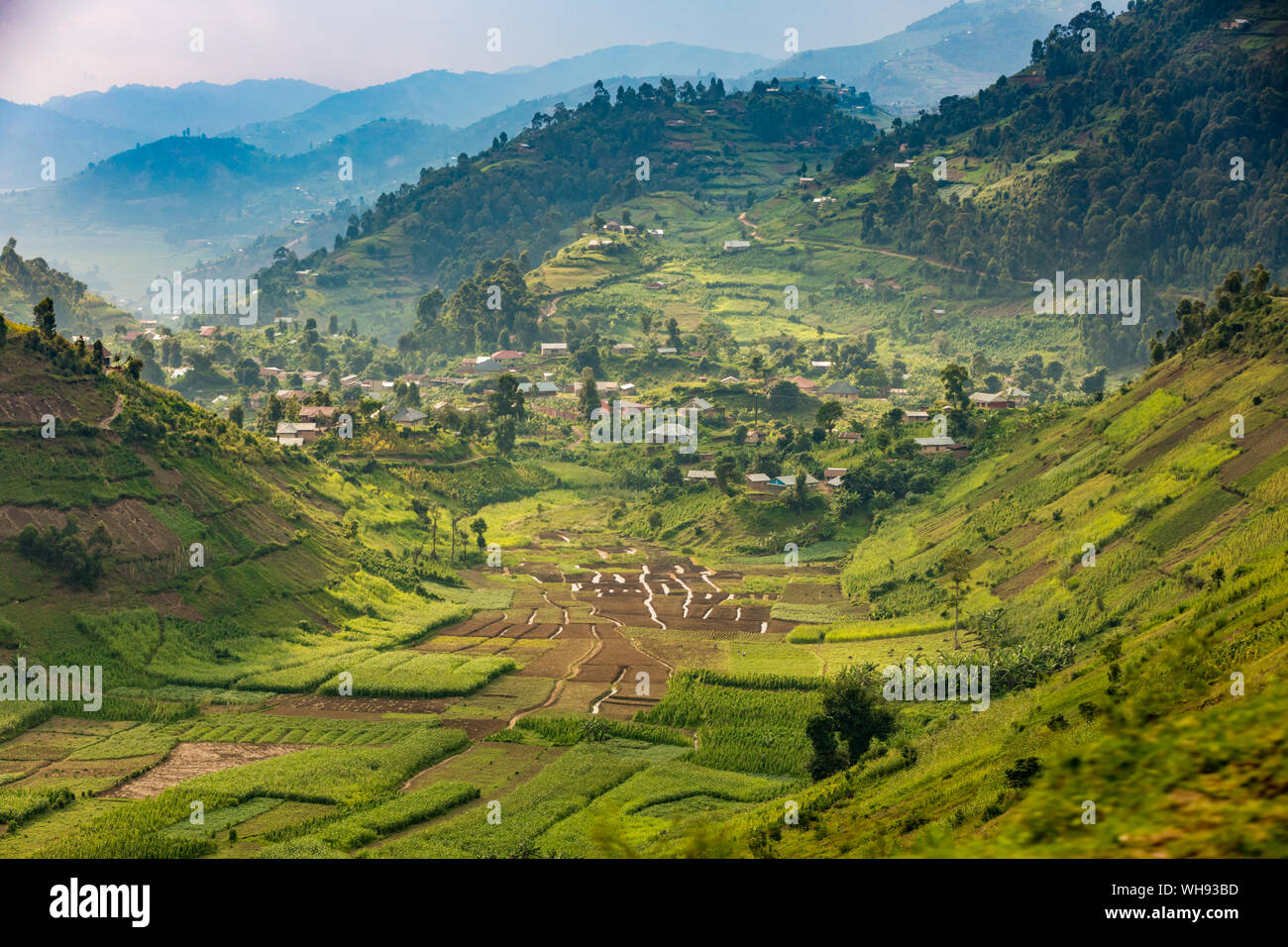 Fahrt durch Lake Bunyonyi in Uganda, Ostafrika, Südafrika Stockfoto