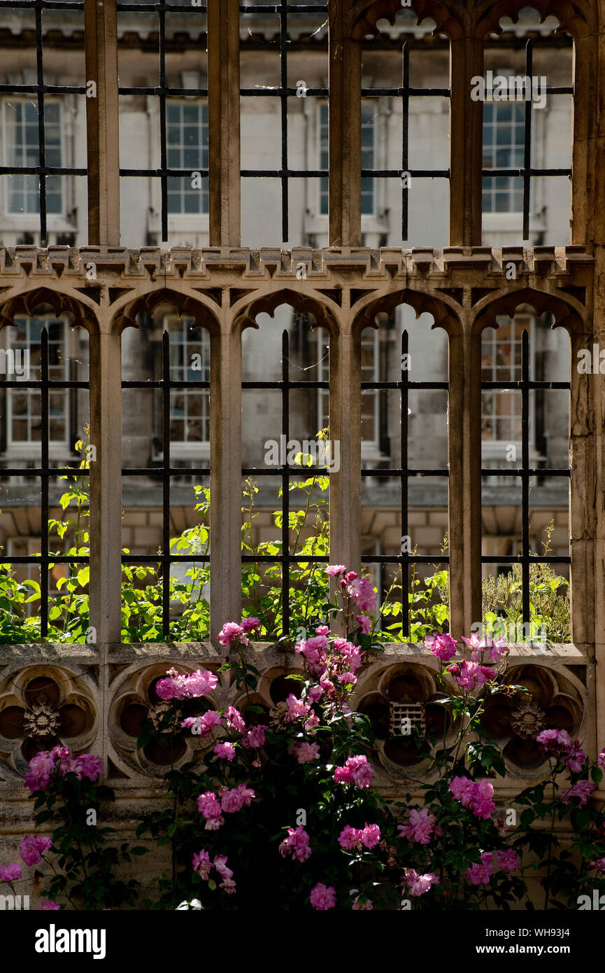 Schönen verzierten Mauerwerk in einer Hochschule Garten in der Altstadt von Cambridge, England. Stockfoto