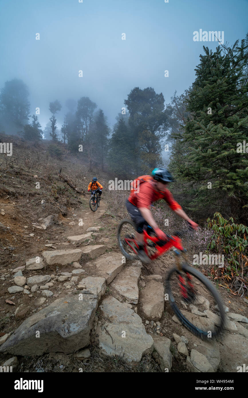 Mountainbikes Abstieg durch einen nebligen Wald in den Gosainkund Region im Himalaya, Langtang region, Nepal, Asien Stockfoto