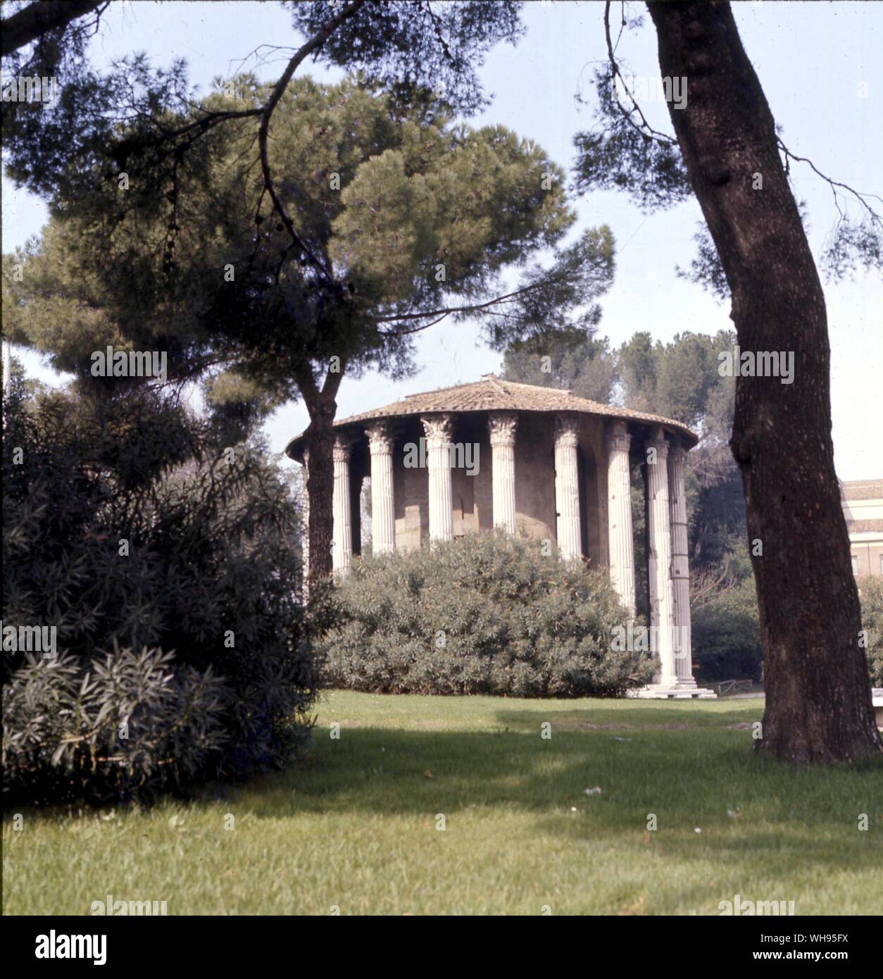 Italien, Rom: Tempel der Vesta. Stockfoto