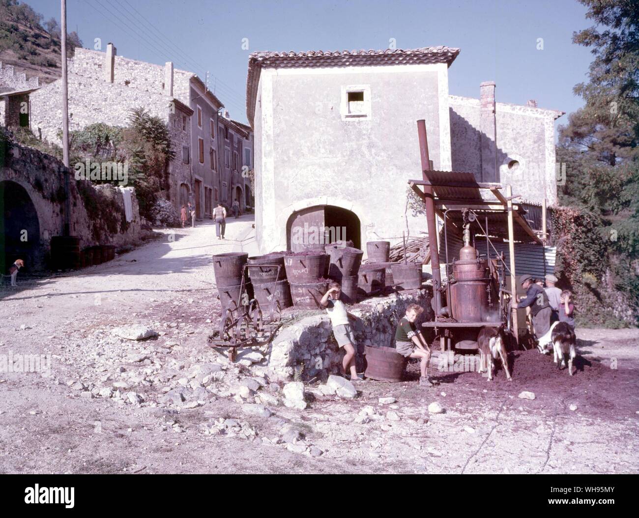 Frankreich. Drücken Trauben (unbekannte Dorf) Stockfoto