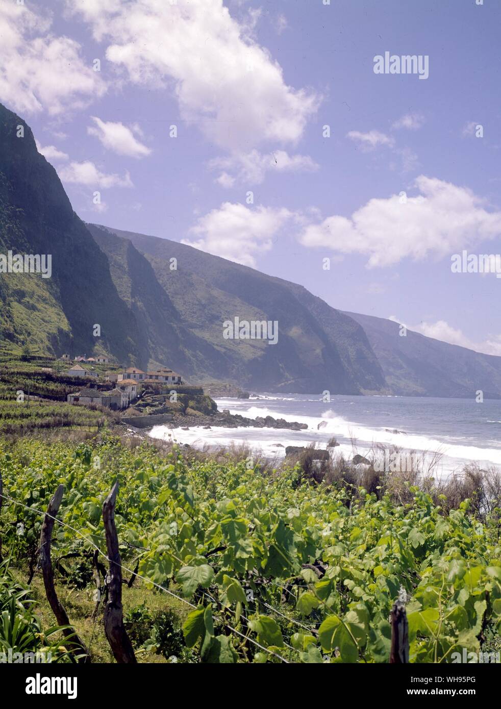 Malvasja Weinberge bei Malvazija bei Sao Vicente Madeira Stockfoto