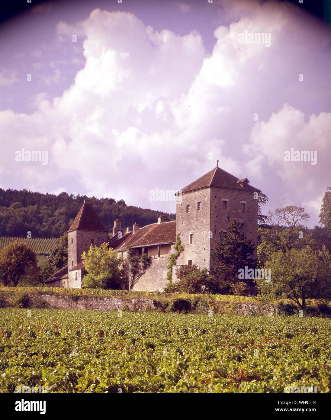 Die Weinproduktion, Frankreich: Chateau des GEVREY-CHAMBERTIN - cotecle nuits Pisten. Stockfoto