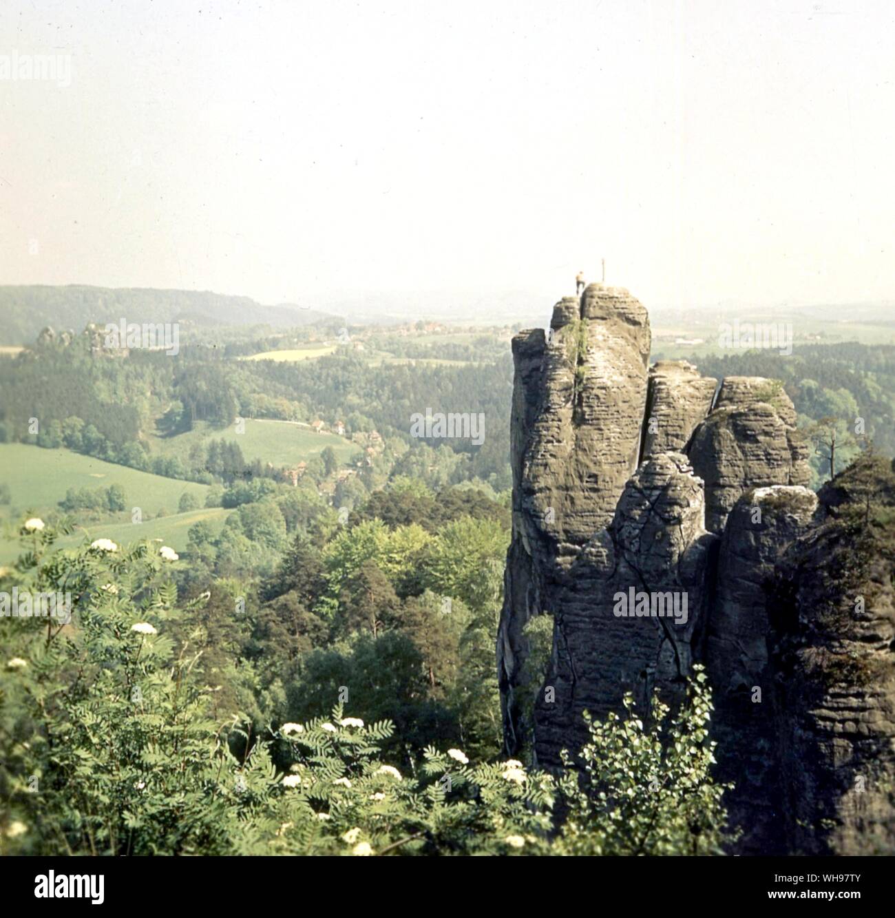 Sächsische Schweiz Stockfoto