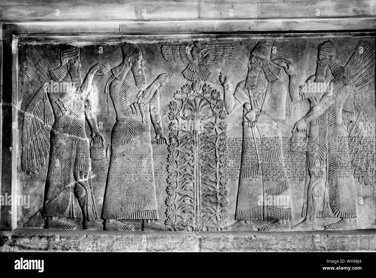 Kriegsführung/Könige und geflügelte Figuren Lager Angebote neben einem heiligen Baum. Herrschaft von Assur-Nasir-Pal, ca. 880 v. Chr.. Stockfoto