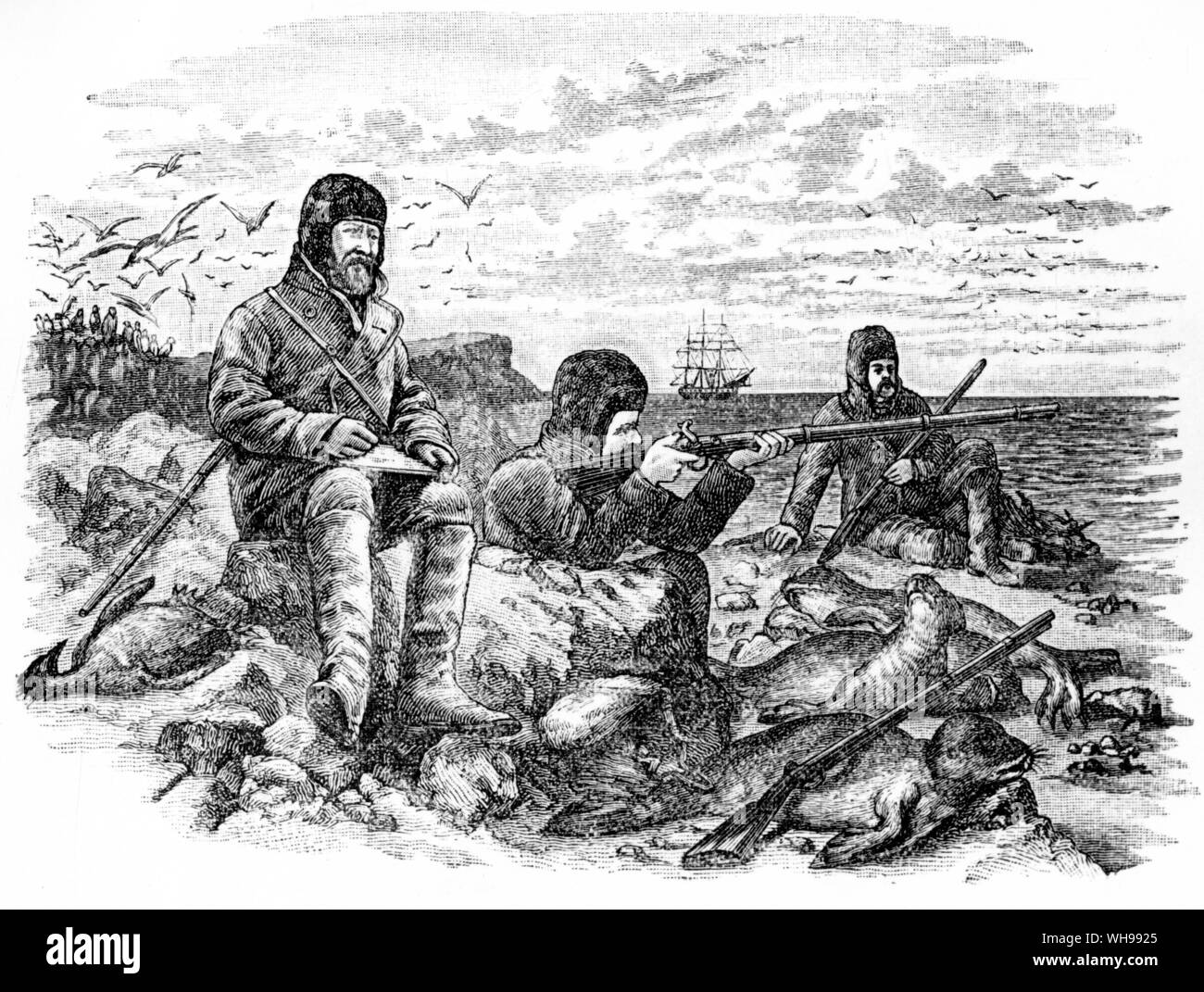 Zeichnung aus dem Foto von Herrn Wild auf Rock sitzt an der Kerguelen, eine Zeichnung von Royal Sound genommen Stockfoto