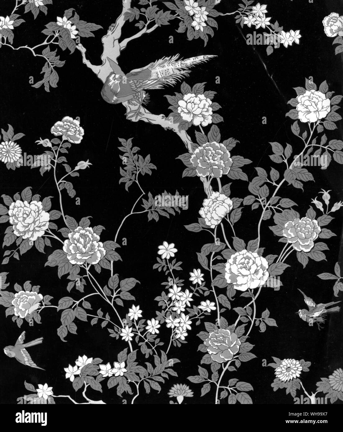 Moderne Tapete - 18. Jahrhundert chinoiserie jetzt als "traditionelle" Design Stockfoto