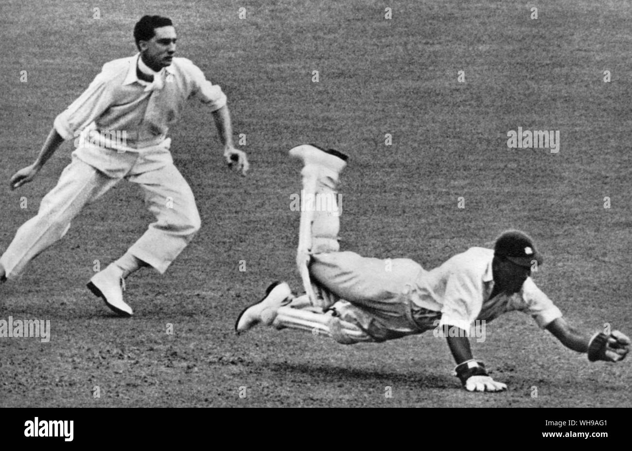 C L Walcott macht einen spektakulären Speichern im Trent Bridge Test 1950. Auf der linken Seite ist H B Stollmeyer Stockfoto