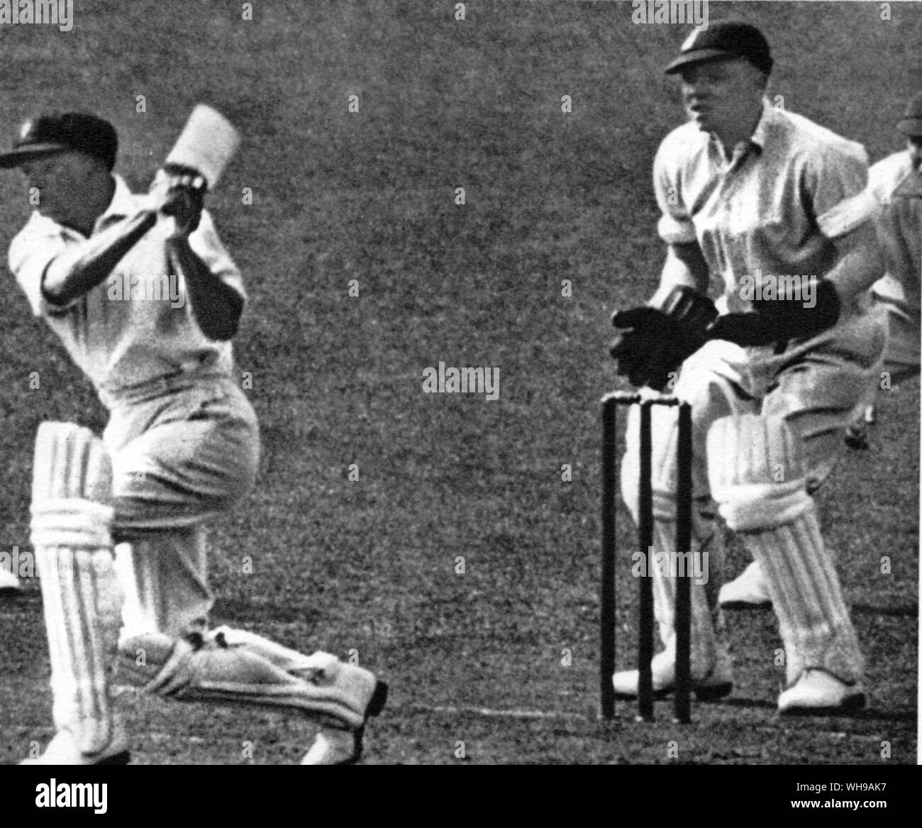 George Duckworth halten Wicket während Bradman ein Antrieb macht Stockfoto