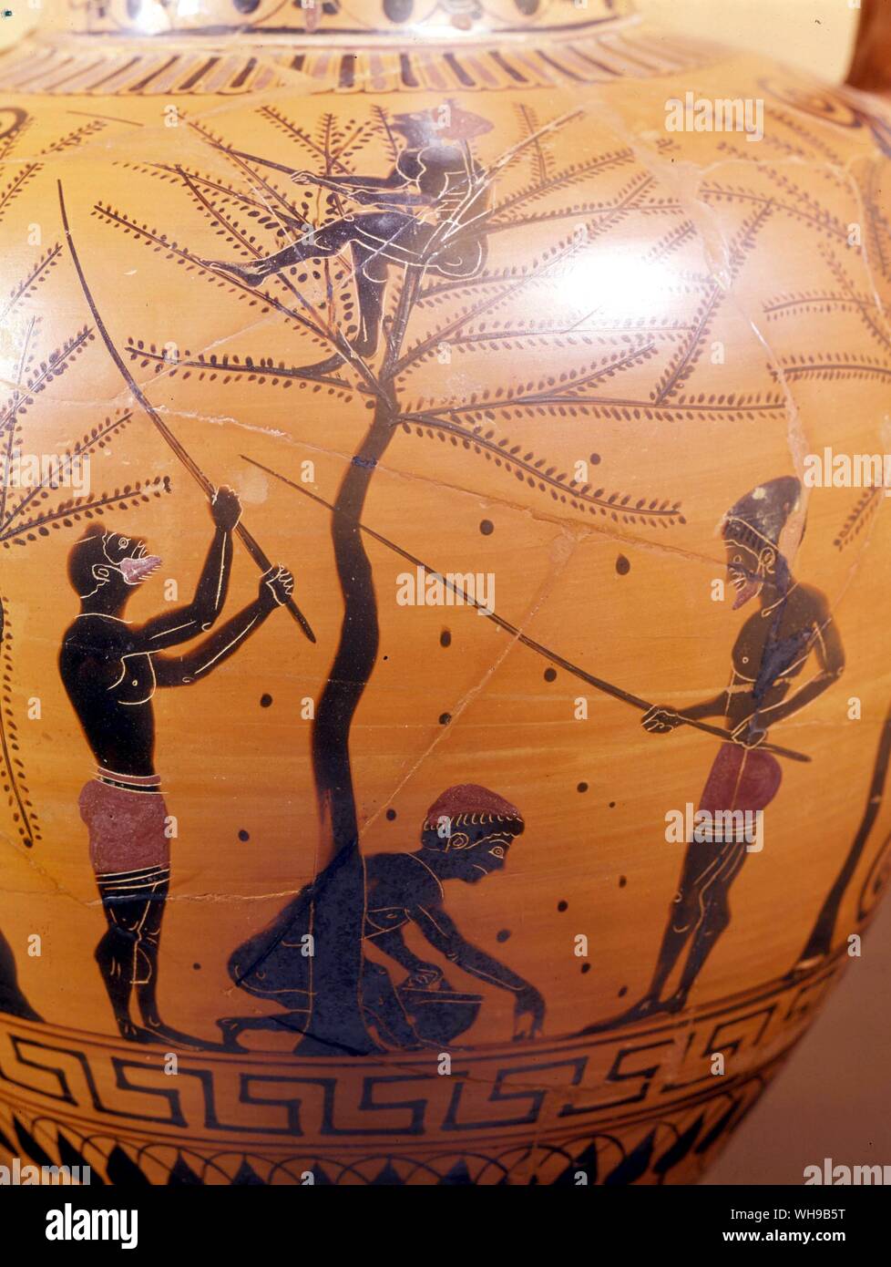 Griechische Vase zeigt Abb. Picker 5. Jahrhundert v. Chr. Stockfoto