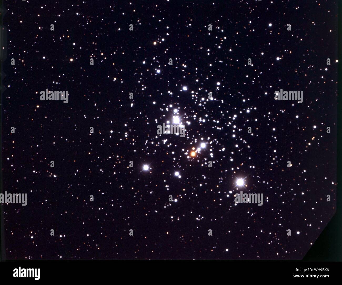 Raum/Sterne. Galaxien und Nebel. Südlichen Hemisphäre sky - Sternbild Crux. Stockfoto