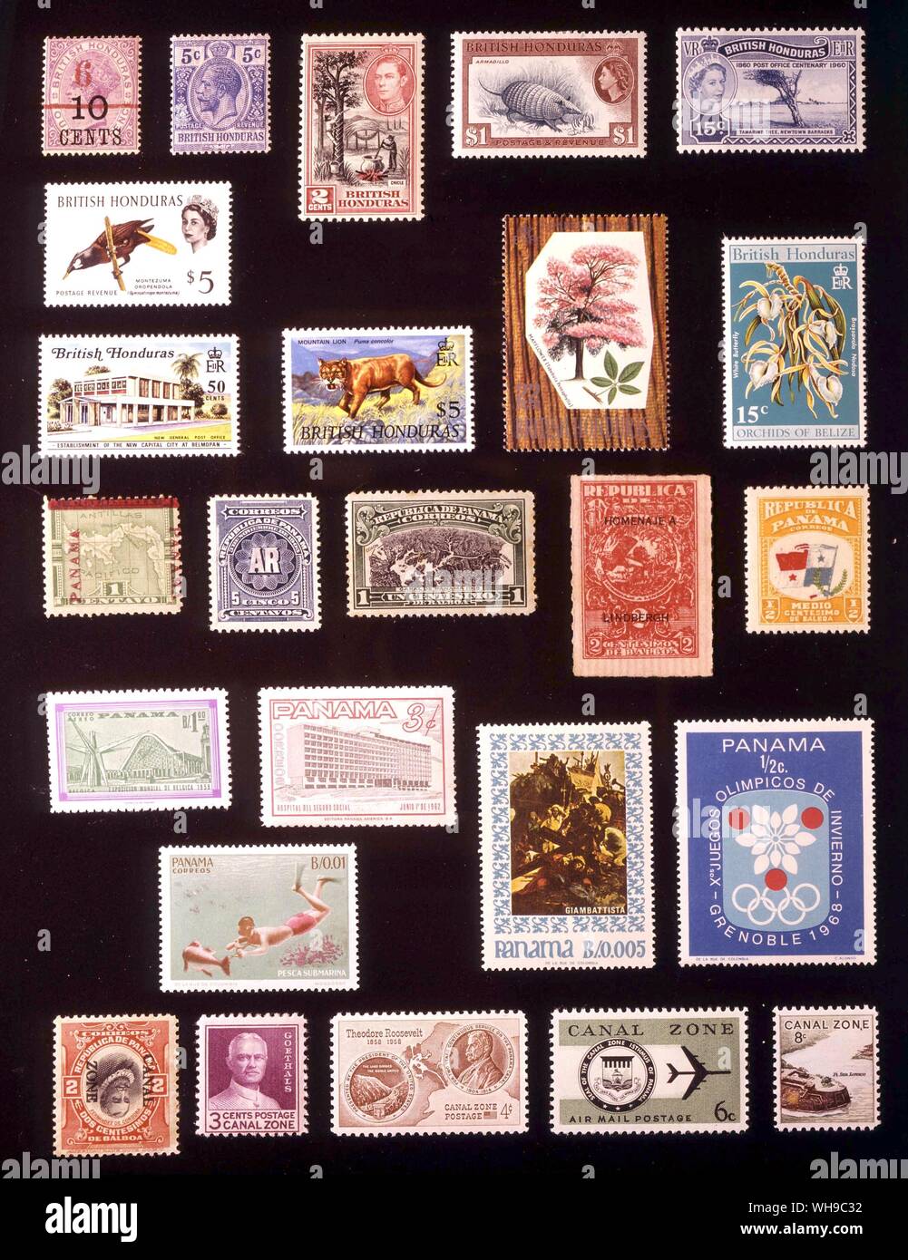 Amerika - Britisch Honduras und Panama: (von links nach rechts) 1. Britisch Honduras, 6 Cent 1891, 2. Britisch Honduras, 5 Cent, 1915, 3. Britisch Honduras, 2 Cent, 1938, 4. Britisch Honduras, 1 Dollars, 1953, 5. Britisch Honduras, 15 Cent, 1960, 6. Britisch Honduras, 5 Dollars, 1962, 7. Britisch Honduras, 50 Cent, 1971, 8. Britisch Honduras, 5 Dollars, 1968, 9. Britisch Honduras, 22 Cents 1969, 10. Britisch Honduras, 15 Cent, 1970, 11. Panama, 1 Centavo 1904, 12. Panama, 5 Centavos, 1904, 13. Panama, 1 centesimo 1915, 1' 4. Panama, 2 centesimos, 1928, 15. Panama, 0,5 centesimo 1906, 16. Panama, 1. Stockfoto