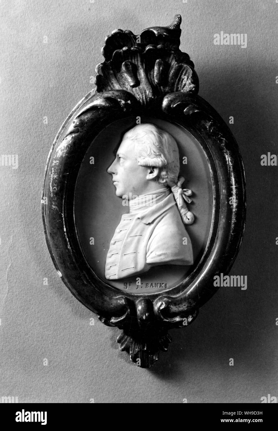 Sir Joseph Banks (1743-1820), britischer Naturforscher und Entdecker. Stockfoto