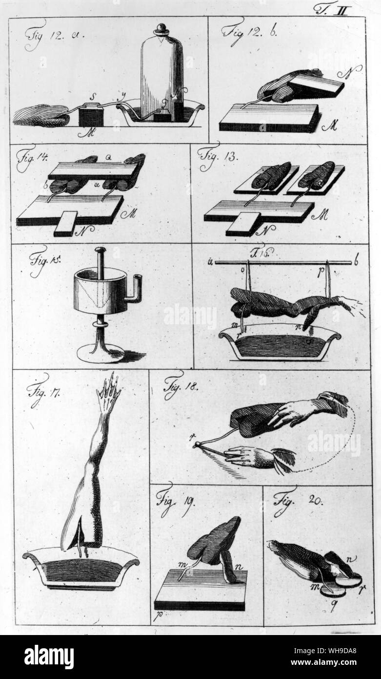 Einige der 4000 Experimente 9 Humb oldt in die Natur der sogenannte Tierische Elektrizität. Er wollte nicht cofine seine Forschungen zu Froschschenkel, aber versucht, andere Tiere, Pflanzen und sogar seinen eigenen Körper. Stockfoto