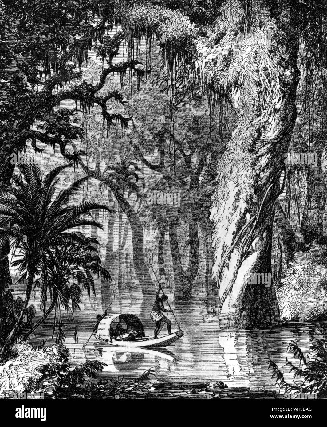 'Wenn die Orest wurde überschwemmt sie Verknüpfung der Fluss Biegungen durch Navigieren durch enge Kanäle zwischen den Bäumen". Stockfoto