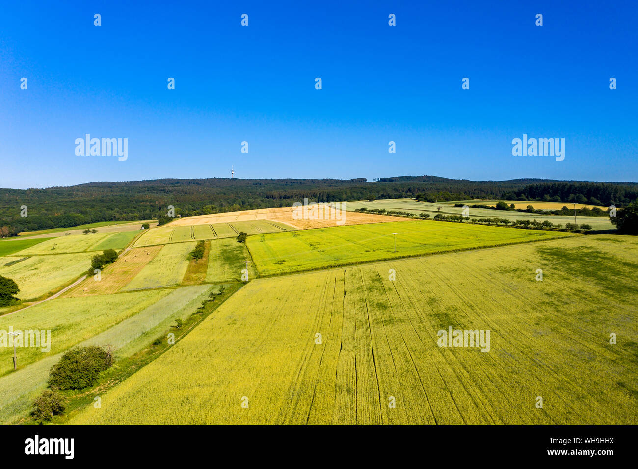 Luftaufnahme über Getreidefelder, Wiesen und Wälder, Wetterau, Deutschland Stockfoto