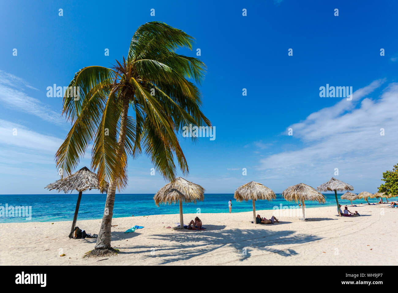 Palmen und Sonnenschirme am Strand Playa Ancon in der Nähe von Trinidad, Trinidad, Kuba, Karibik, Karibik, Zentral- und Lateinamerika Stockfoto