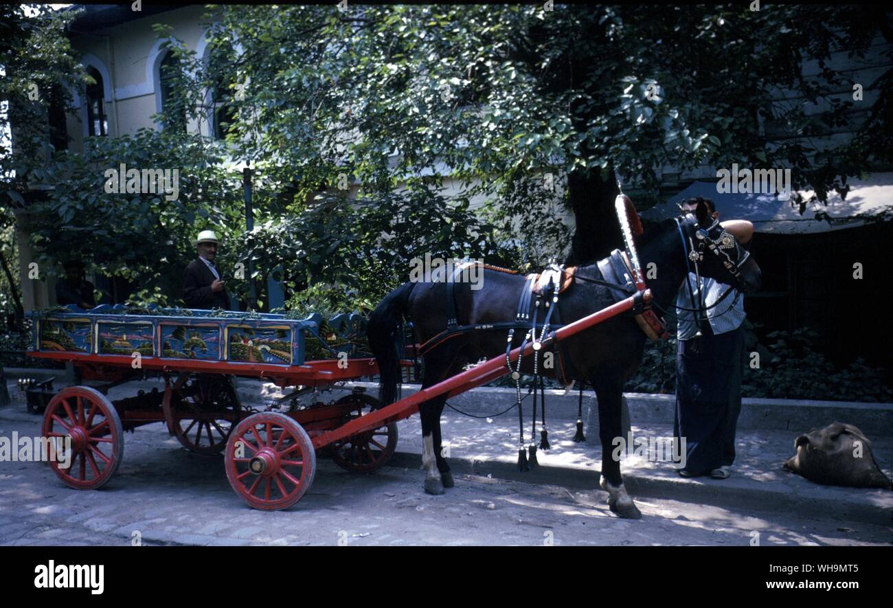 Türkei Istanbul Pferd und Wagen Stockfoto
