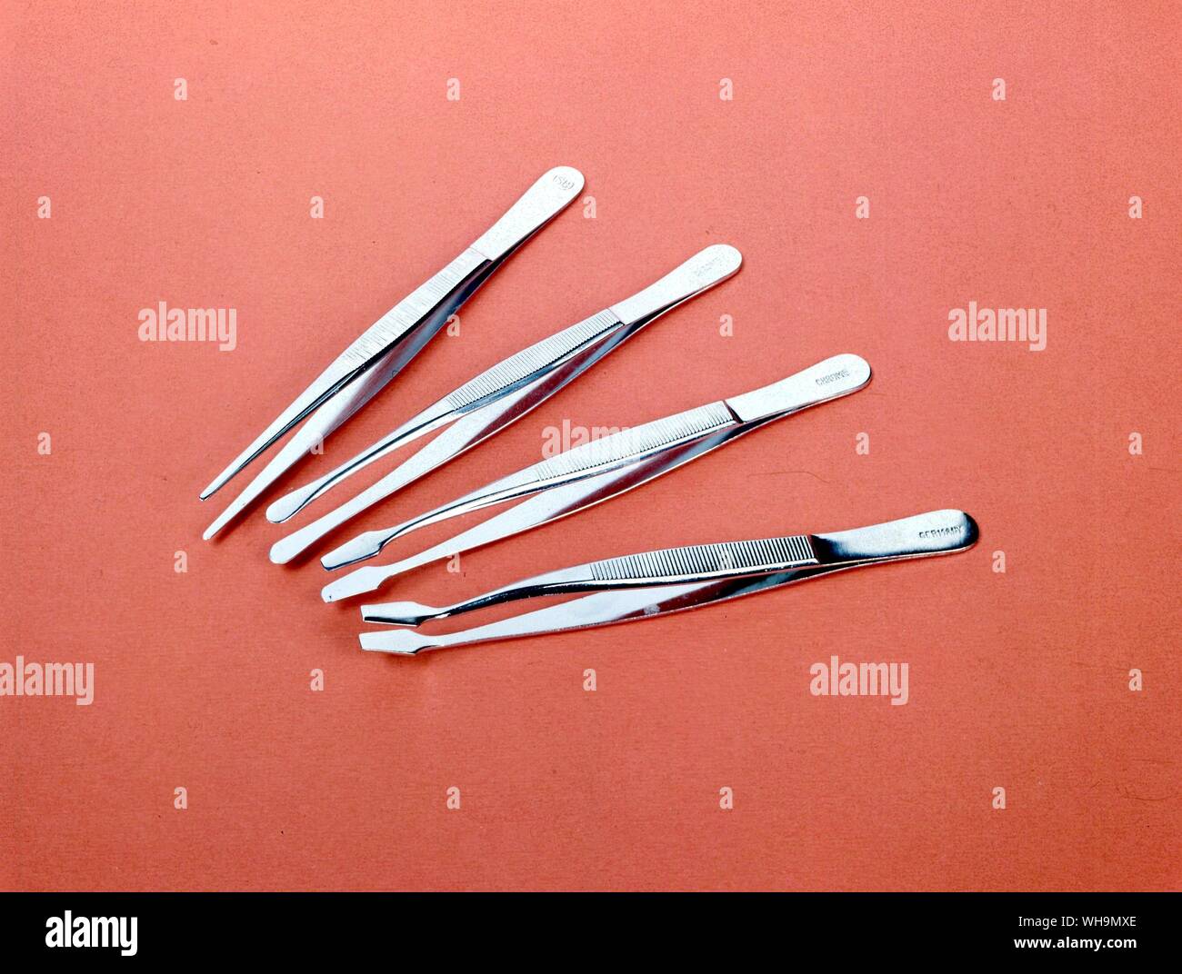 Briefmarkensammeln Ausrüstung Pinzette Stockfoto