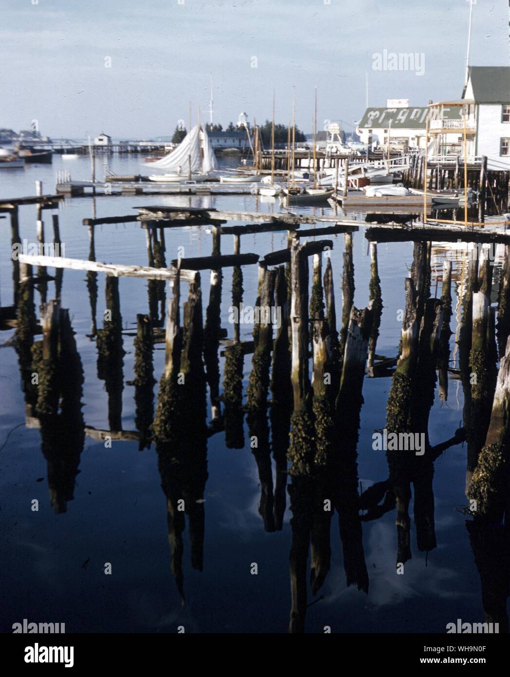 Ostküste der USA Stockfoto