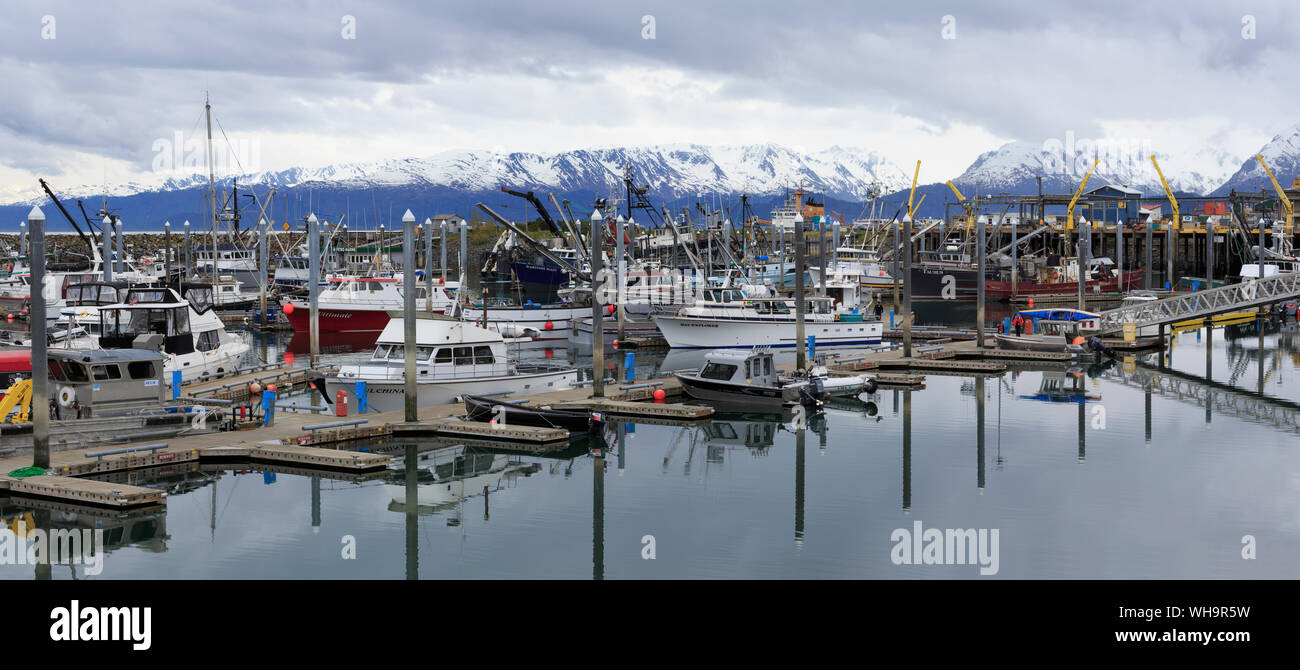 Fischerboote, Homer, Alaska, Vereinigte Staaten von Amerika, Nordamerika Stockfoto