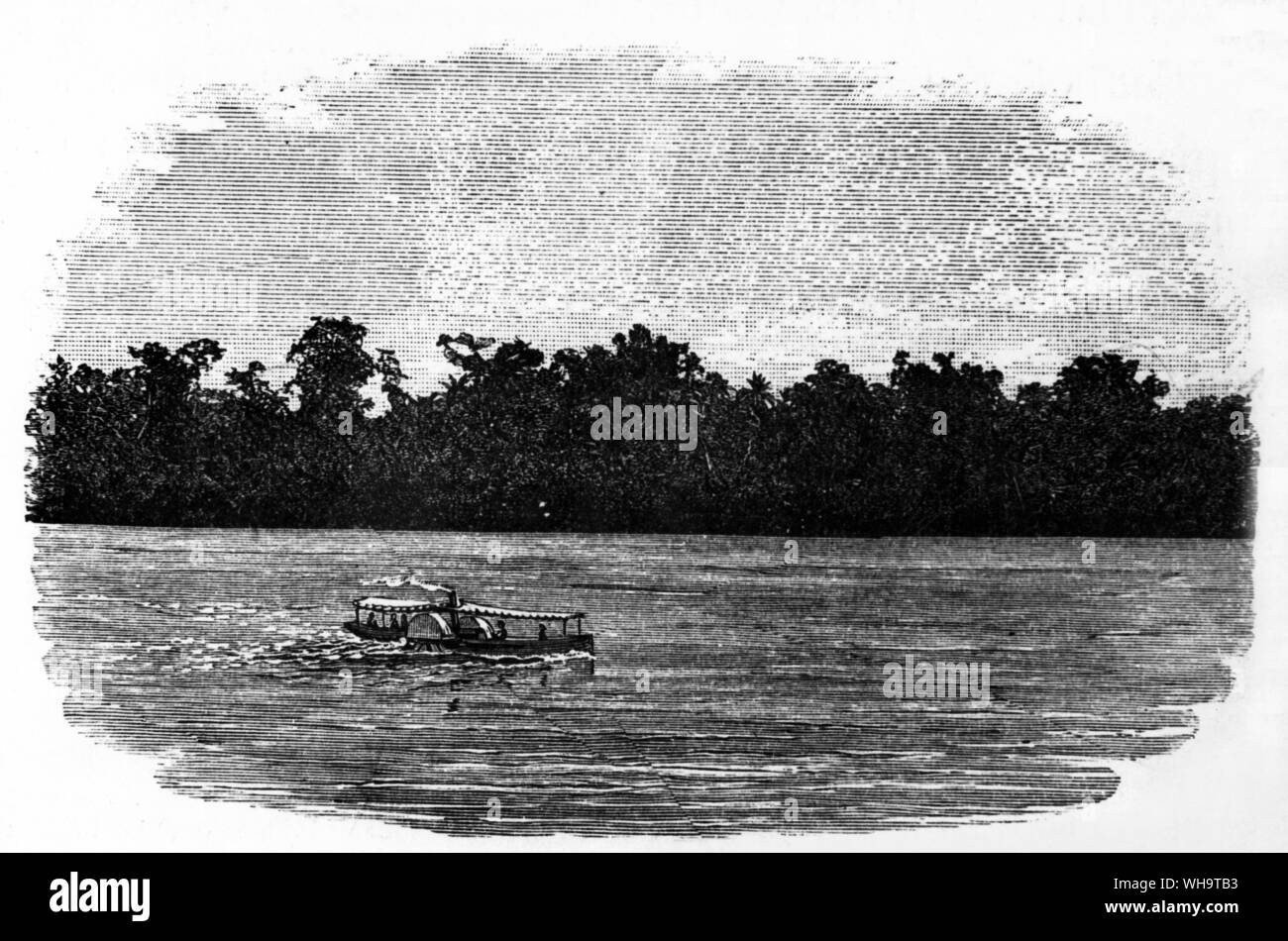 H. M. Stanley: Kongo. Die bewaldeten Ufer des Unteren Kongo. Stockfoto