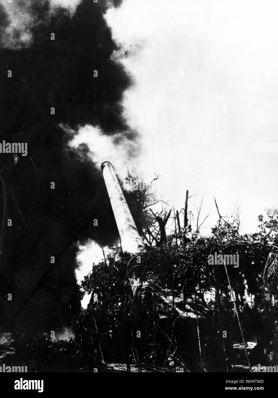 WW1/Frankreich: Deutsche 38-cm Kanone abfeuern. Unter Gestrüpp. Stockfoto