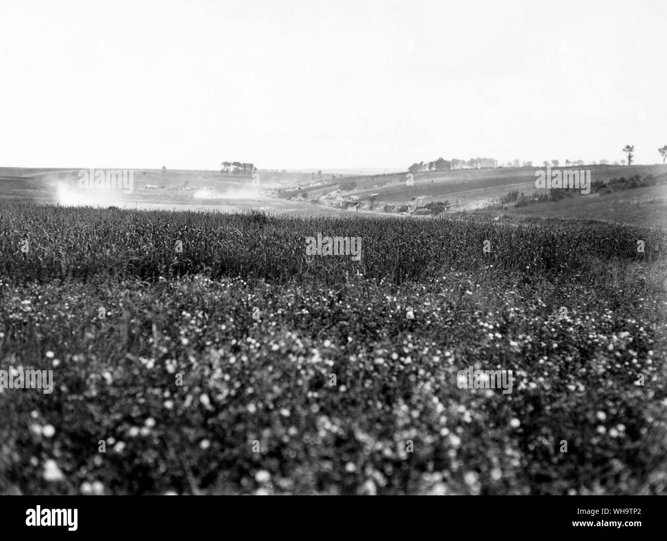 Frankreich, WK 1: Allied gun Positionen in einem Tal, Juli 1916. Stockfoto