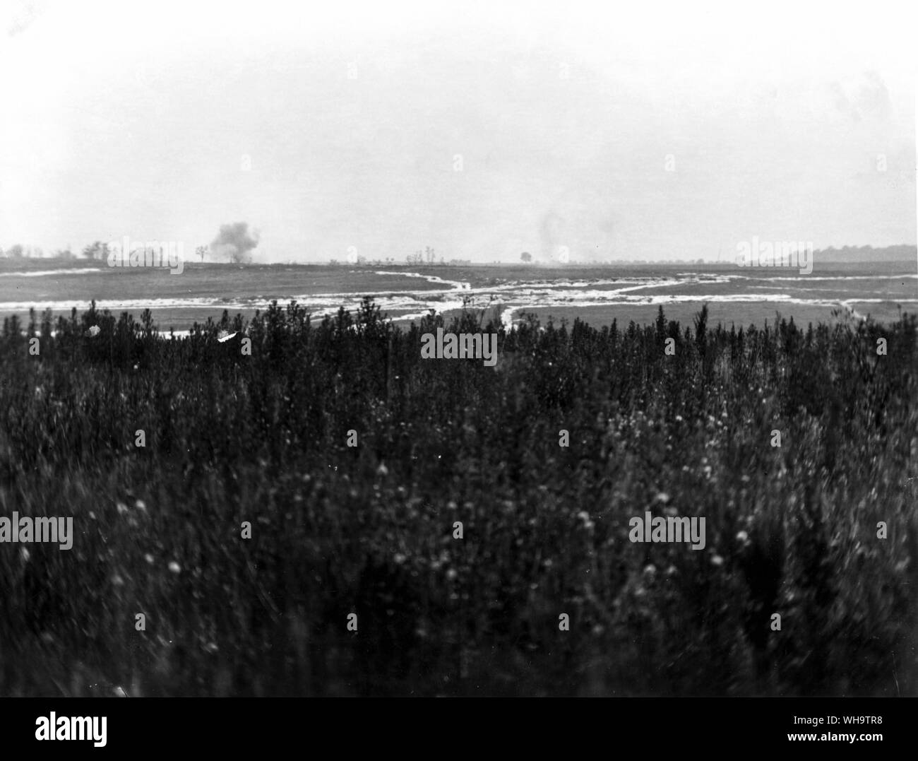WW1/Frankreich: Panoramablick über die Somme Schlachtfeld, Juli 1916. Stockfoto