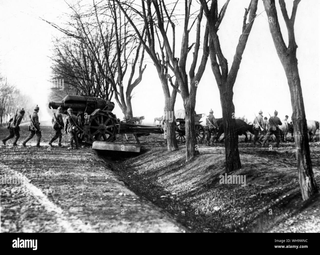 WW1/rumänischen Front am Sereth. Vorauszahlung auf Sereth. Ochsen Zeichnung einen 21 cm Howitzer gun, Januar 1917. Stockfoto