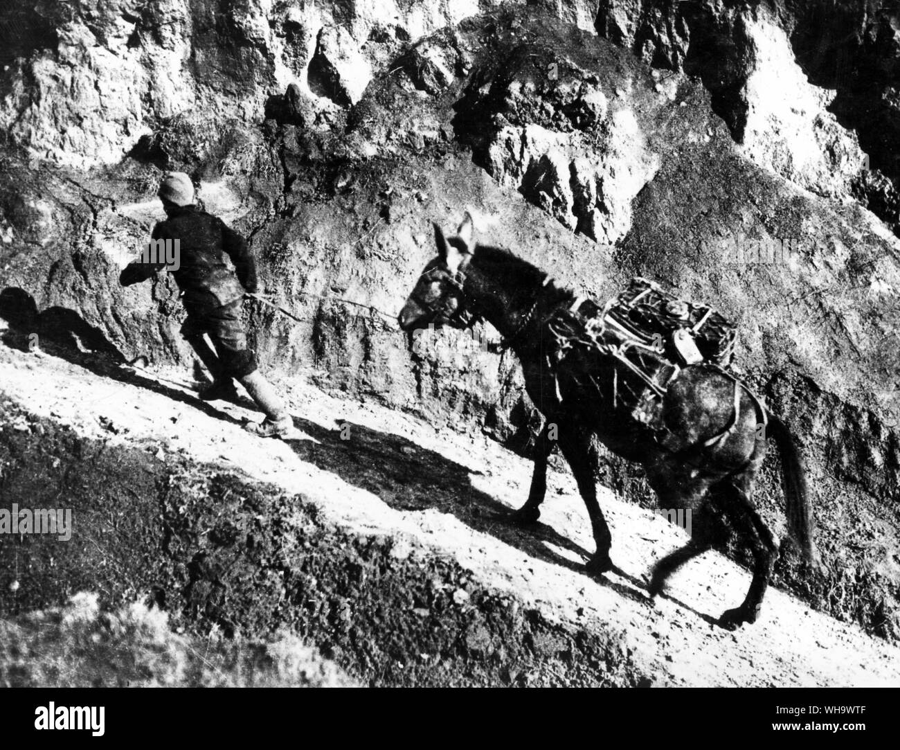 WW1/der Balkan. Eine muleteer aus Zypern Wasser holen für die Truppen aus einem tiefen Gully. Stockfoto