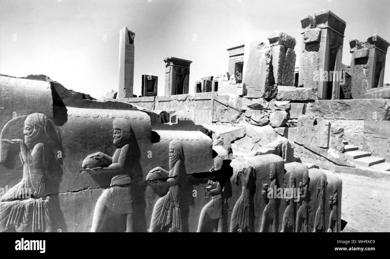 Treppe im Palast von Persepolis: Entlastung von Tribut Träger, die Angebote der Großen an Darius Stockfoto