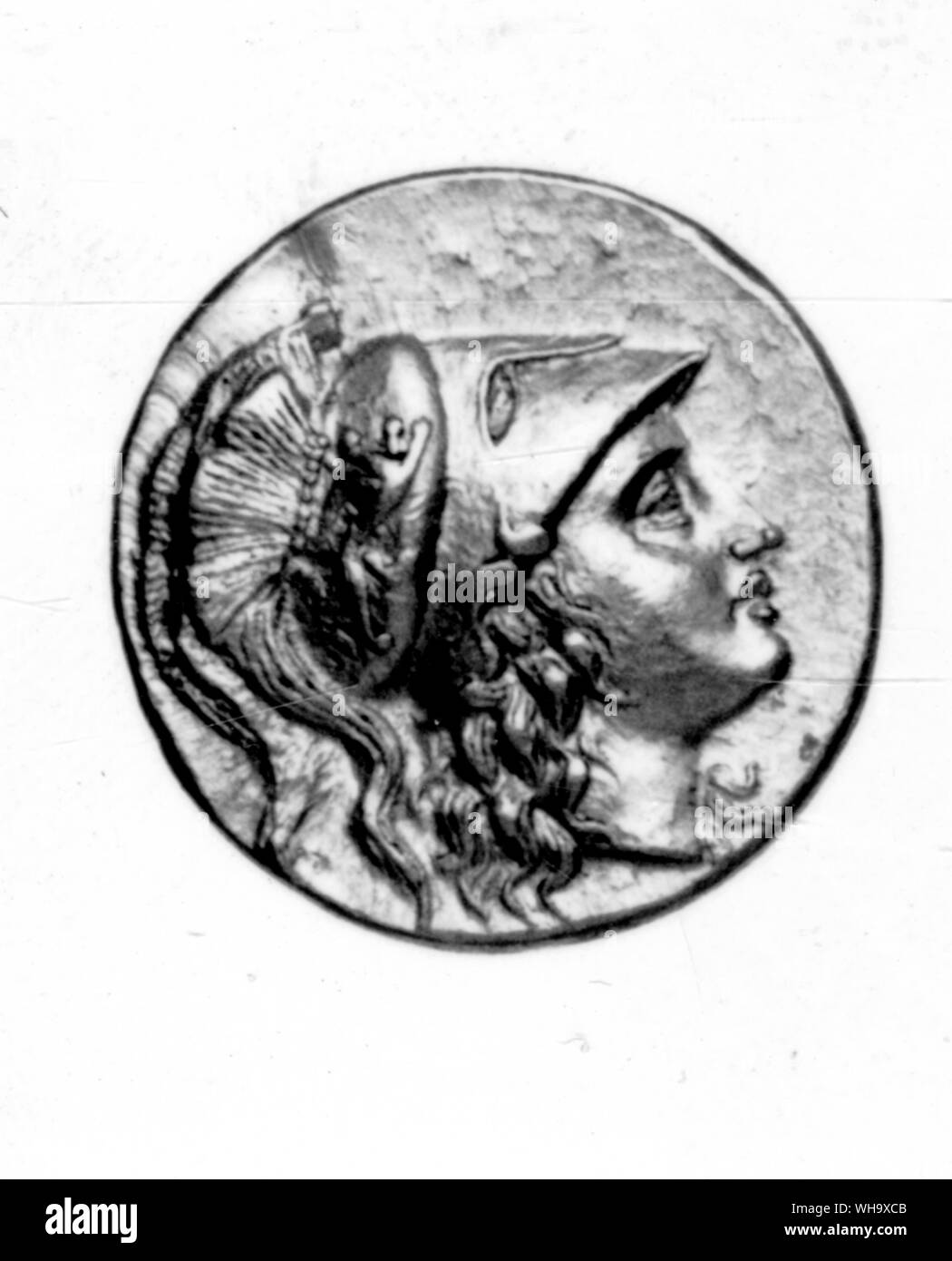 Kopf der Athene - Athene den Helm hat zwei Federn, wie Alexander's. Stockfoto