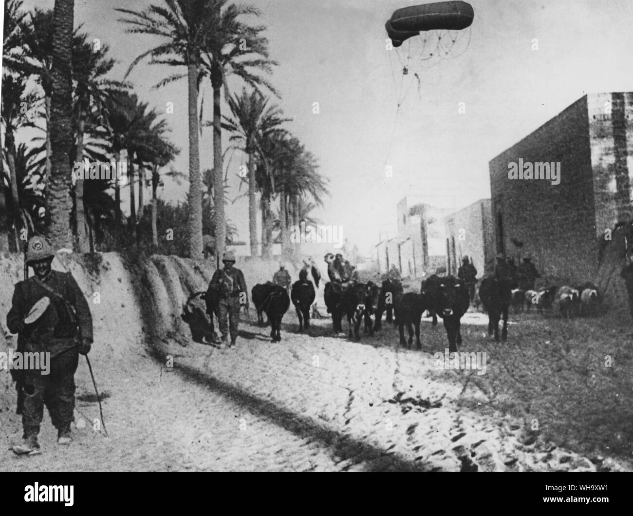 Italien. Italien-türkei Krieg. 1911-1912. Die italienischen Truppen mit Vieh. Stockfoto