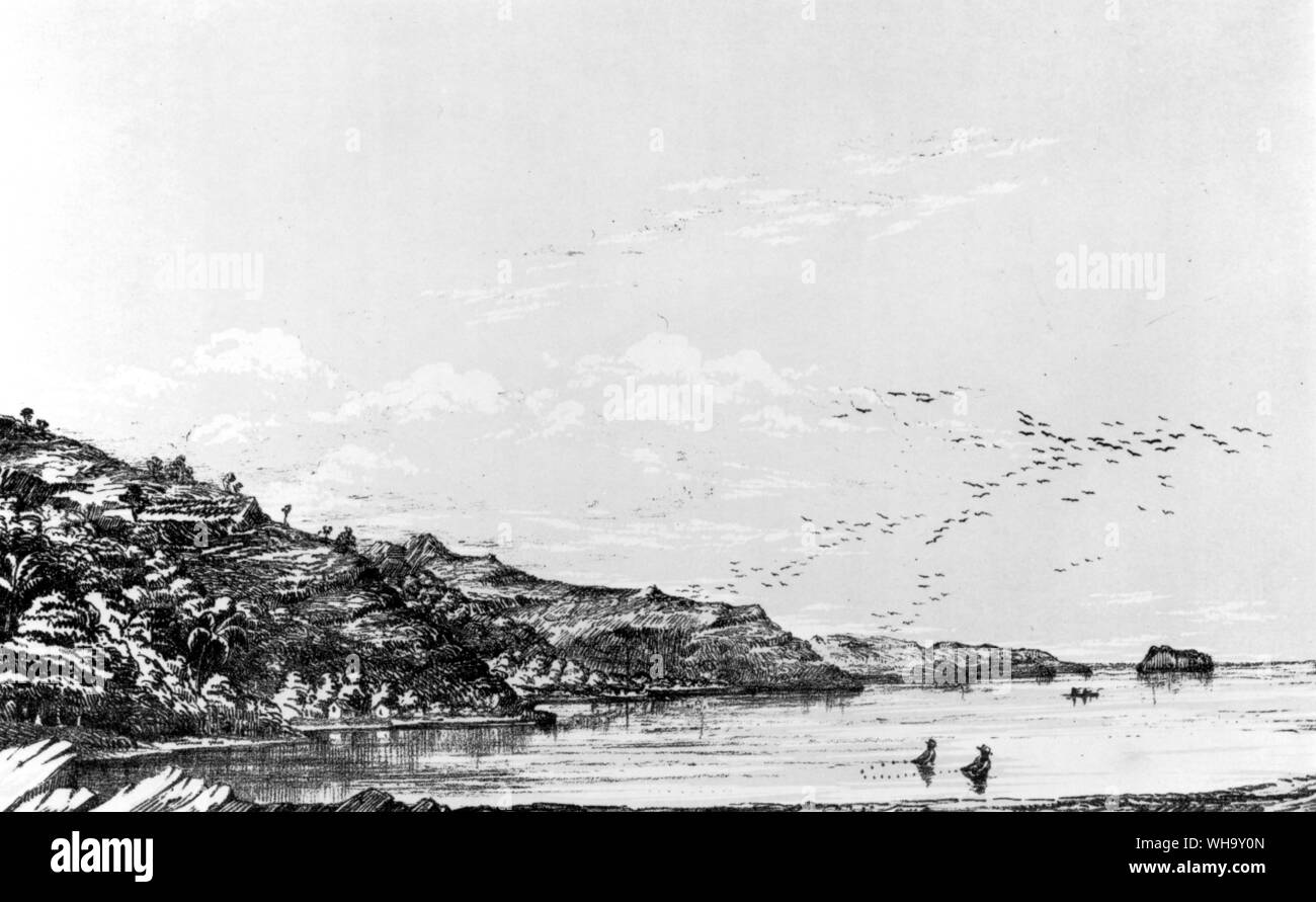 Eine 19.-Jahrhundert auf die Insel Rodrigues Blick nach Westen. Papyrograph in S.E. Strickland und A.G. Melville der Dodo und seine Verwandtschaft (London, 1848) Stockfoto