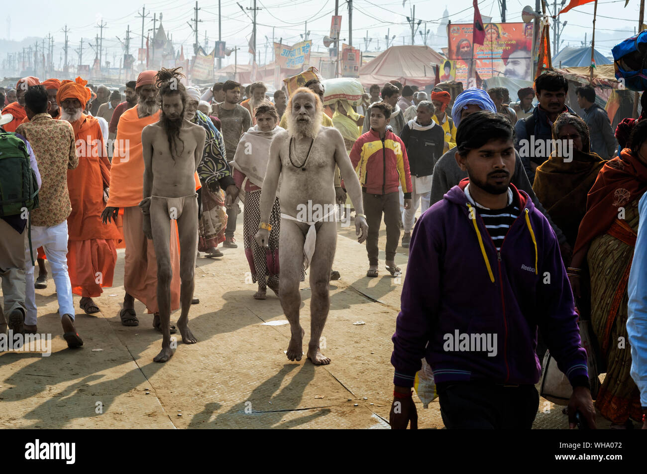 Sadhus gehen zwischen den Pilger, Allahabad Kumbh Mela, der weltweit größte religiöse Versammlung, Allahabad, Uttar Pradesh, Indien, Asien Stockfoto
