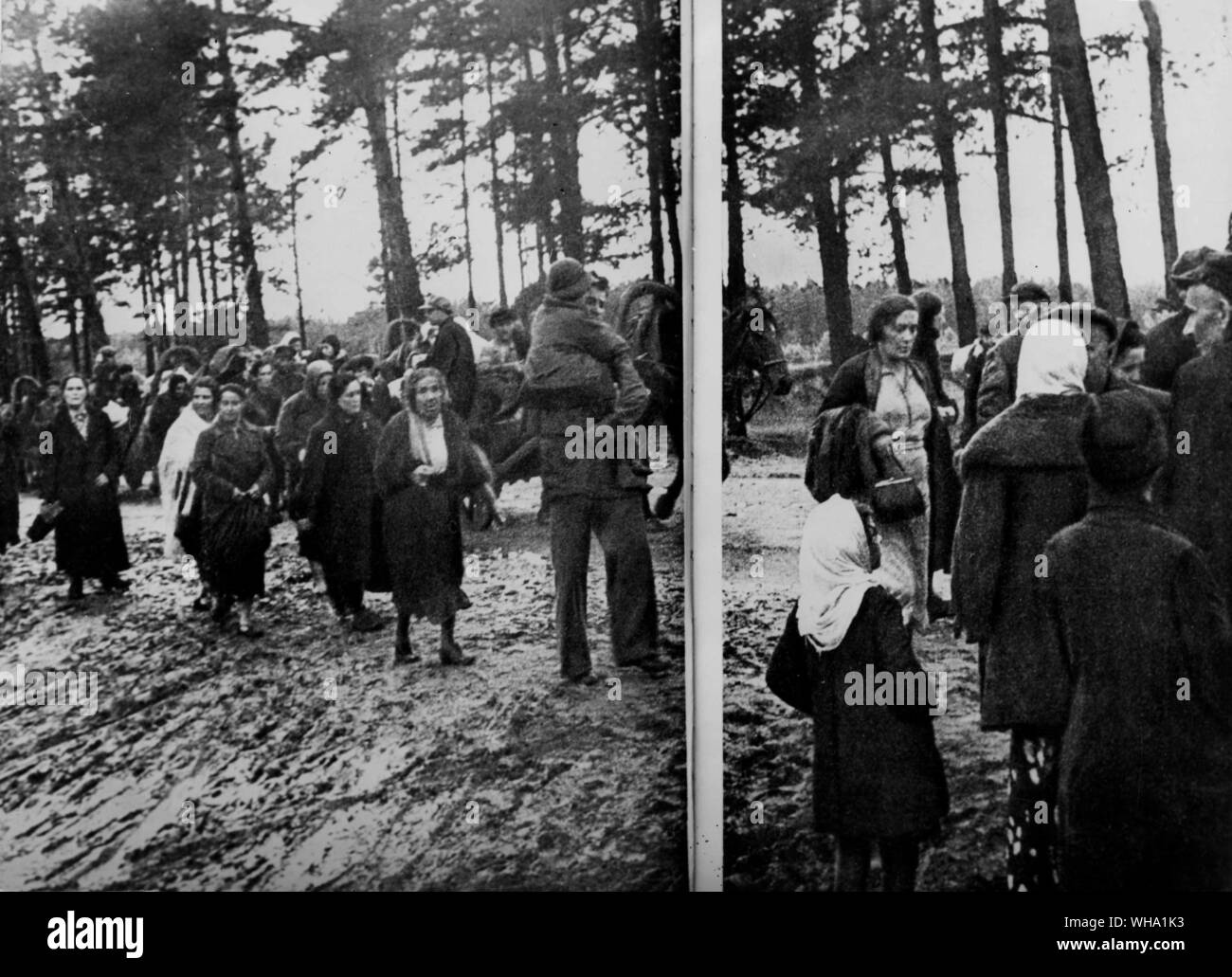 WW2: Russland/zivilen Flüchtlingen stream Vom kämpfen, ihre Arme leer von Besitz und ihre Augen leer der Hoffnung. Stockfoto