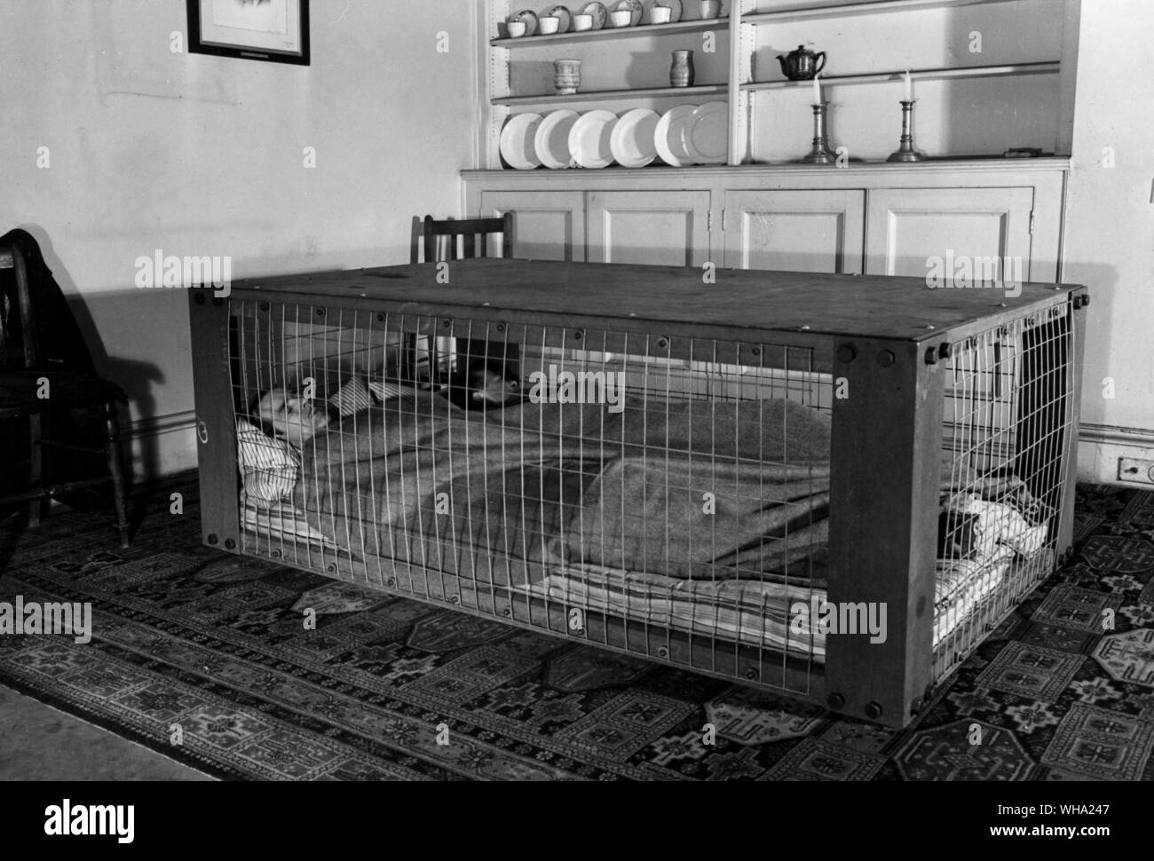WW2: Die neue indoor Tierheim mit einem Mann unter ihm lag. Stockfoto
