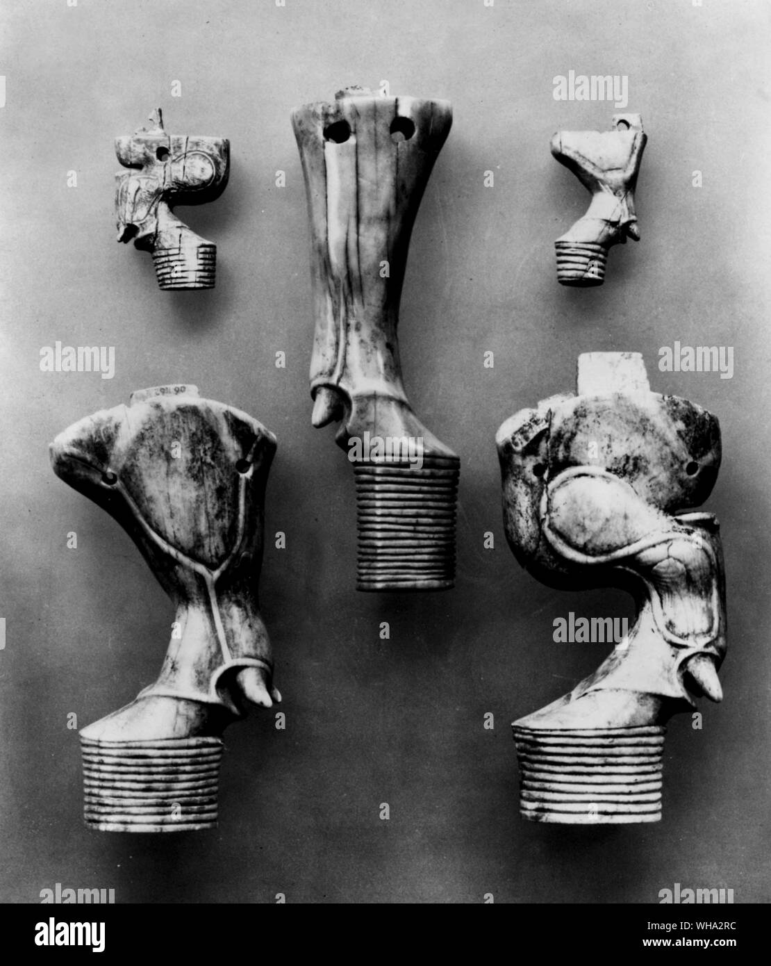 Das alte Ägypten: Elfenbein geschnitzt Stier Beine als Auflage für Stühle, Sofas und kleinen Truhen verwendet. 1. Dynastie. Von Möbeln. Stockfoto