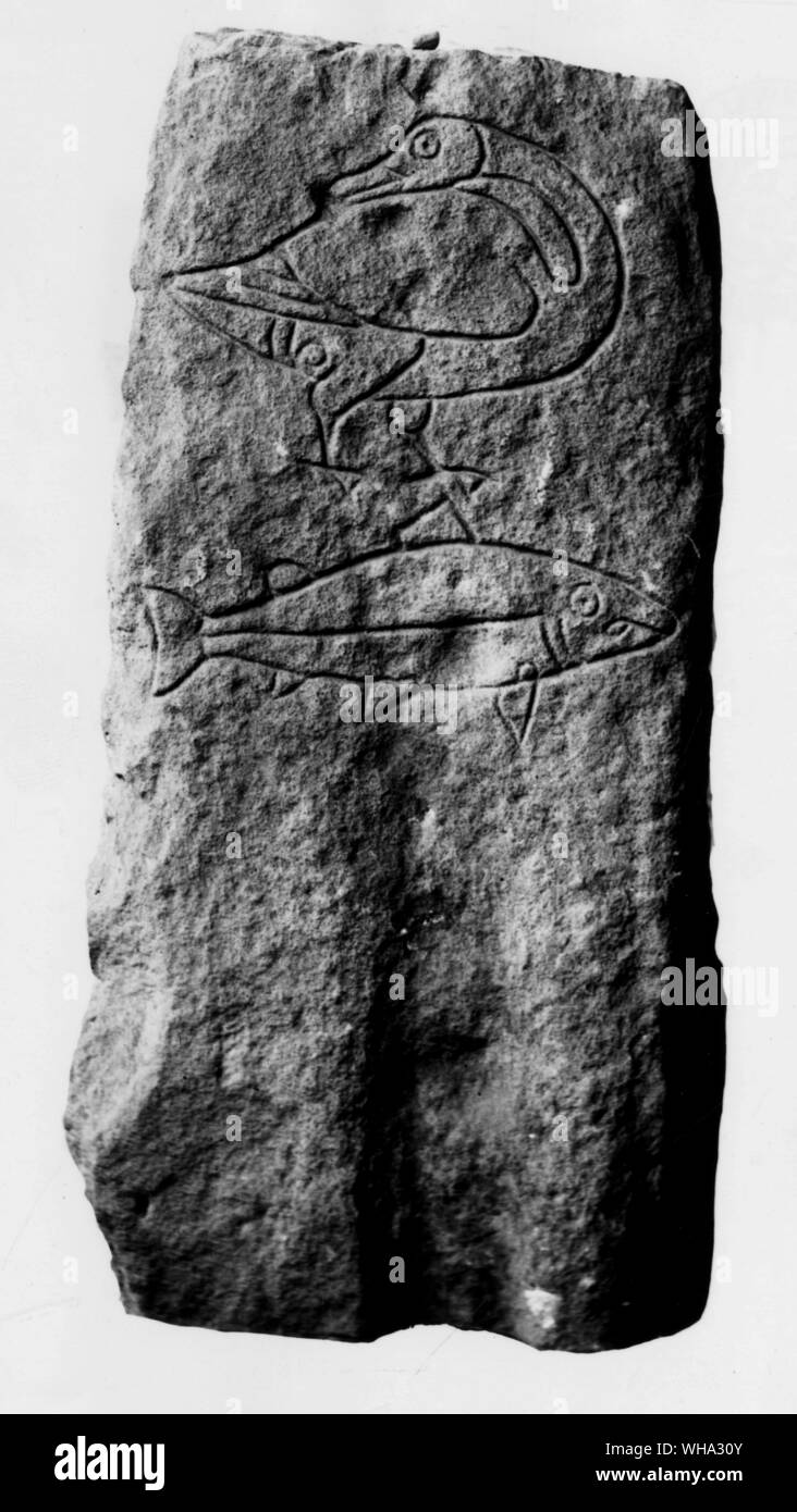 Piktischen symbol Stein von easterton von Roseisle, Moray. Stockfoto