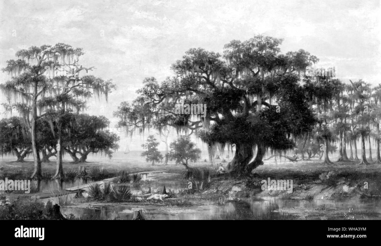 Der Mississippi - ein Fluss, dessen schlammigem Untergrund und stagnierenden Banken Dickens kam zu verabscheuen. Stockfoto