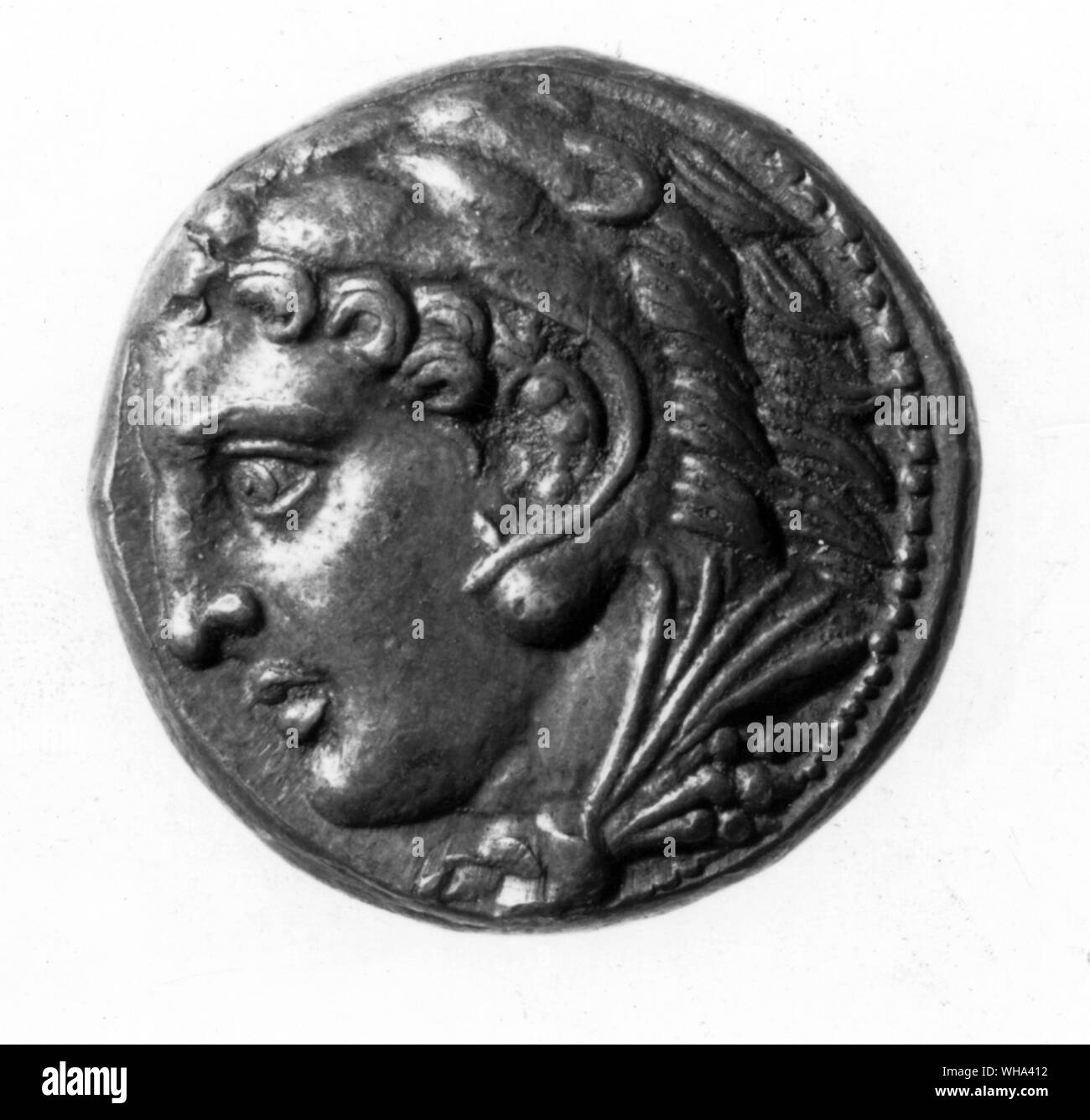 12 arbeiten von herakles Fotos und Bildmaterial in hoher Auflösung