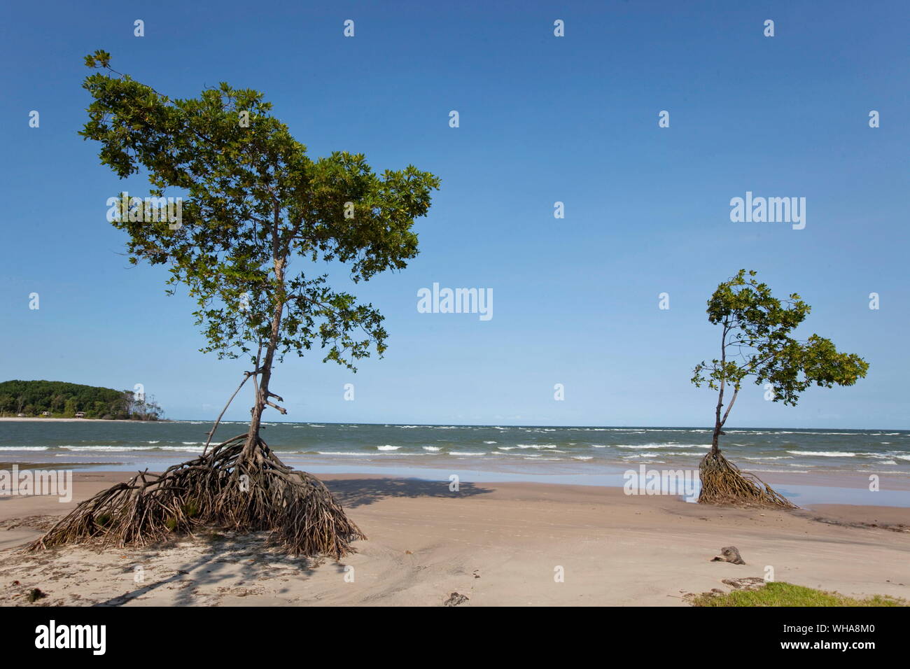 Insel MARAJO, BRASILIEN Stockfoto