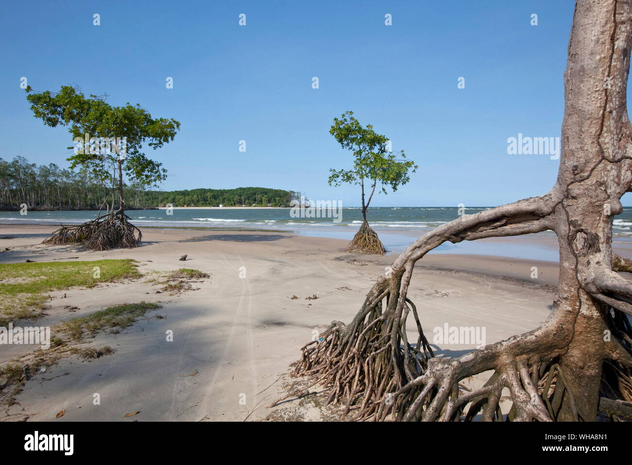 Insel MARAJO, BRASILIEN Stockfoto