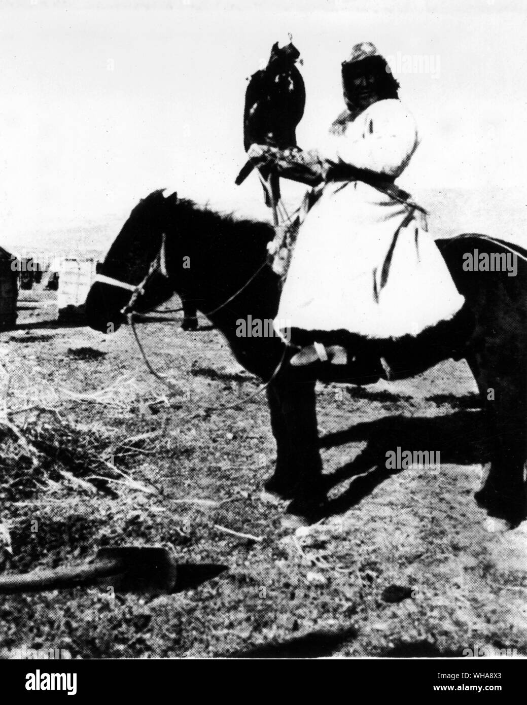 Kasachen. Ein Kazak und sein Pferd mit einem Jagd Adler auf seinem Handgelenk 1920er. . Der qazaq Metshin Ola mit der Jagd Adler in der Nähe von Toten mongolischen Pass Stockfoto