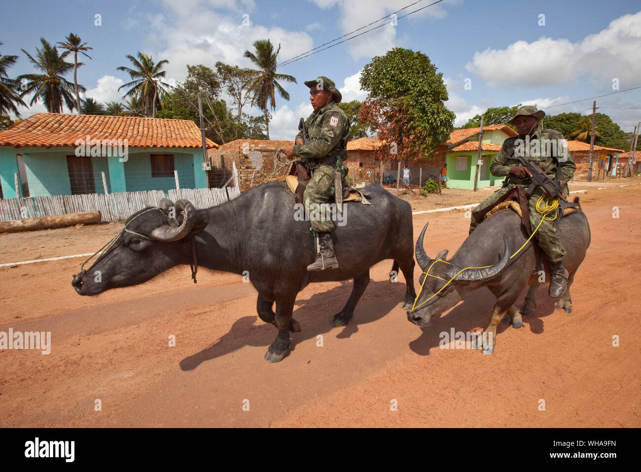 Insel MARAJO, BRASILIEN Stockfoto