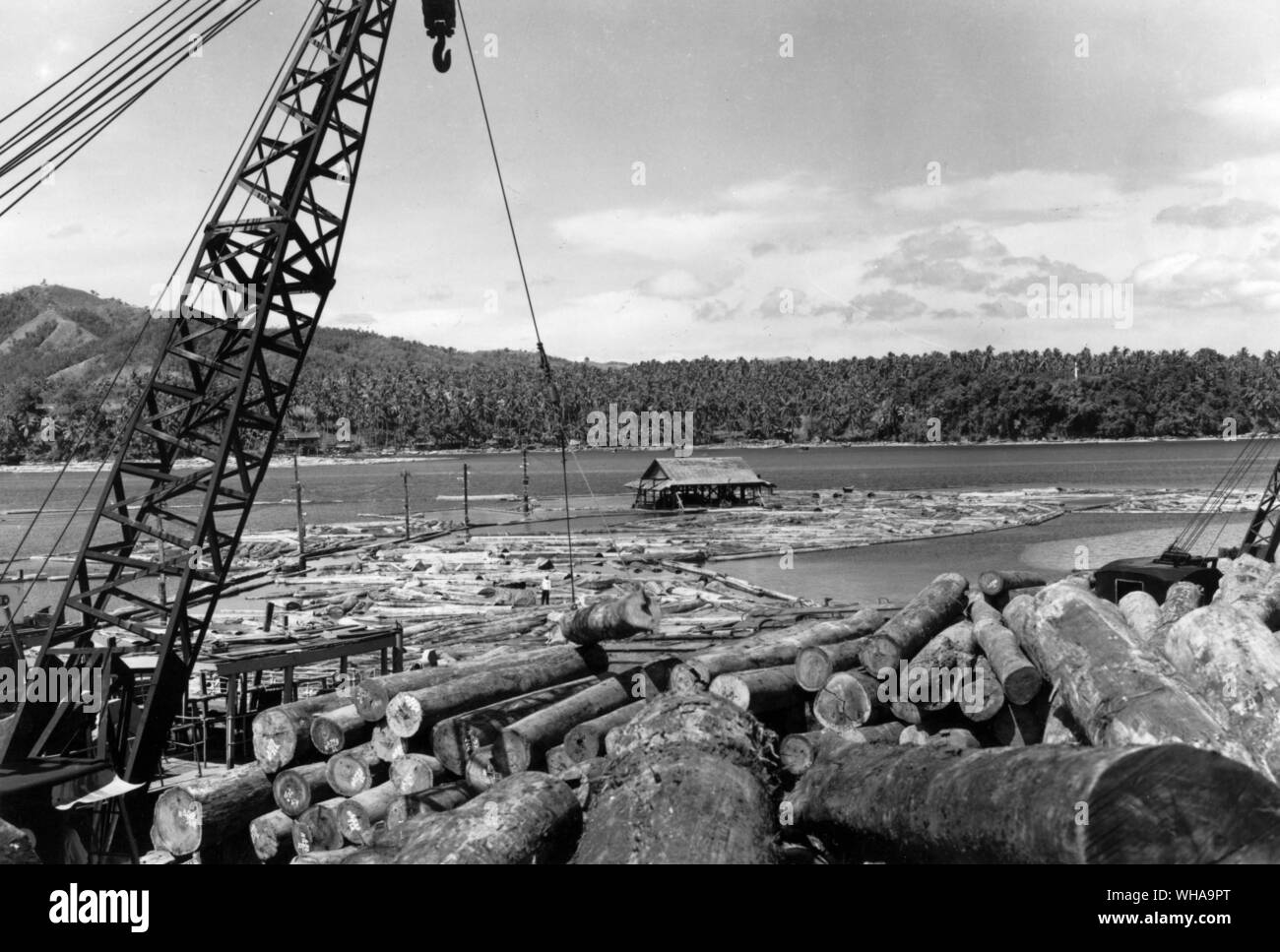 Philippinen: ein Teich, die zu einem der vielen Logging und Bauholz Unternehmen in der Provinz Agusan Butman Stadt anmelden. Stockfoto