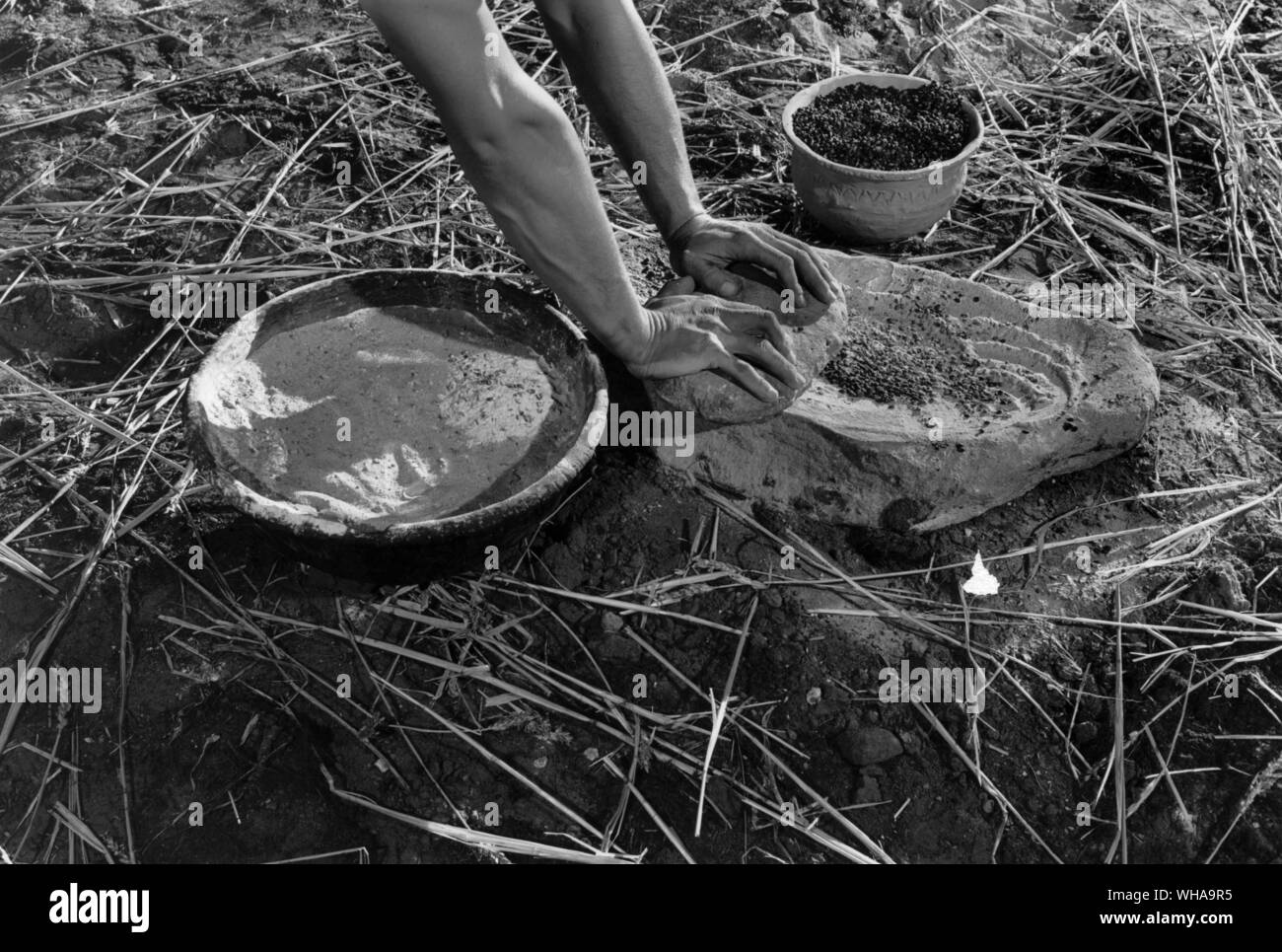 Schleifen von Mais zu Mehl. Stockfoto